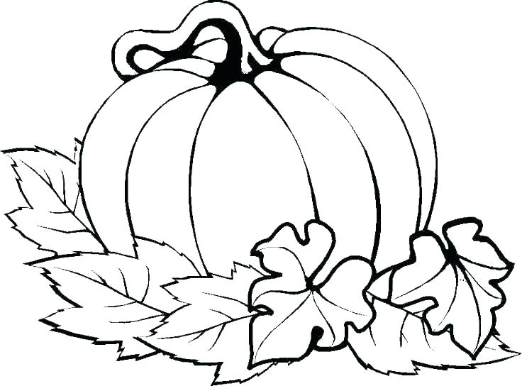 Turkey Coloring Pages For Preschoolers Coloring Pages Turkey Cute 736x544 Turkey Coloring Pages For Preschoolers Coloring Pages Turkey Cute