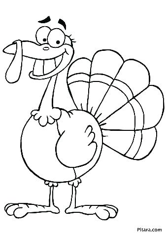 Turkey Coloring Picture 339x480 Turkey Coloring Picture
