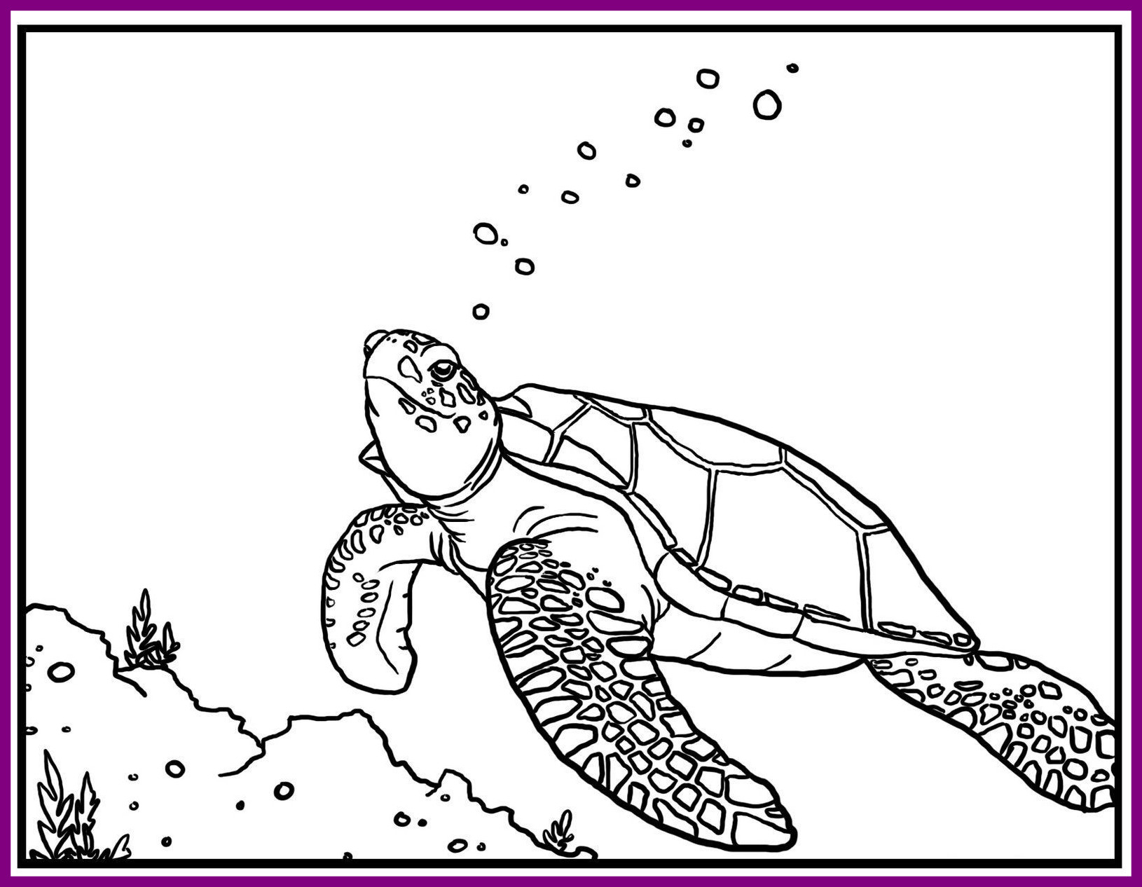 Cute Turtle Coloring Pages