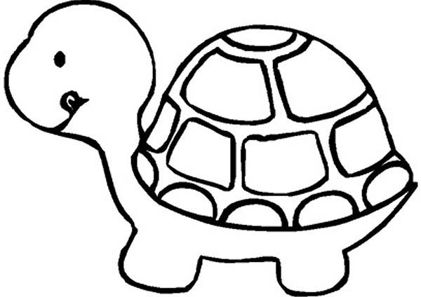 Clever Design Ideas Turtle Coloring Pages Cute Little Page Sun 600x424 Clever Design Ideas Turtle Coloring Pages Cute Little Page Sun