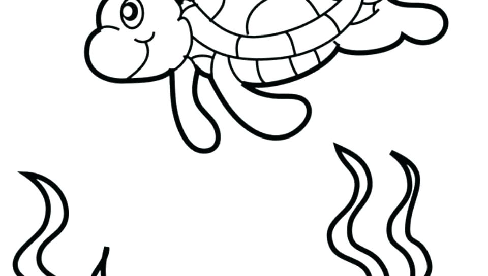 Turtle Coloring Page Turtles Worksheets Kindergarten Turtle 960x544 Turtle Coloring Page Turtles Worksheets Kindergarten Turtle
