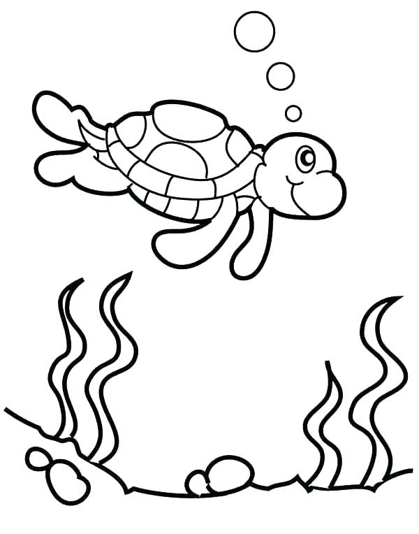 Cute Turtle Coloring Pages at GetColorings.com | Free printable ...