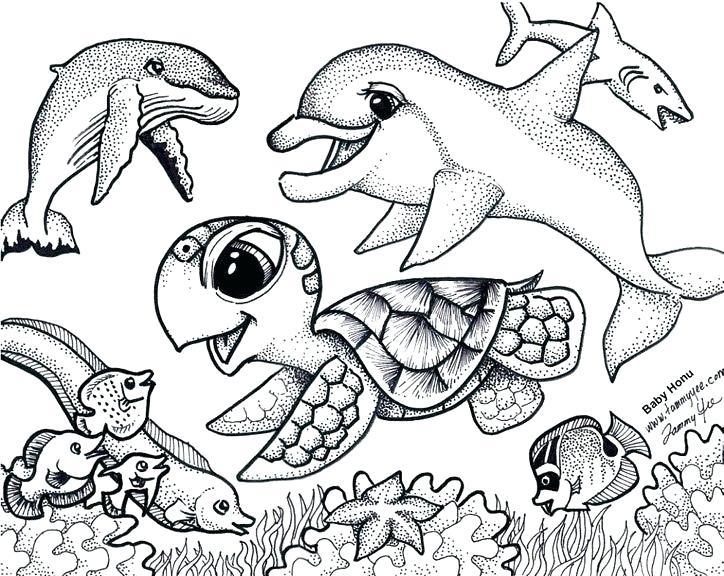 Coloring Pages Turtle Delightful Ideas Turtle Coloring Page Turtle 724x576 Coloring Pages Turtle Delightful Ideas Turtle Coloring Page Turtle