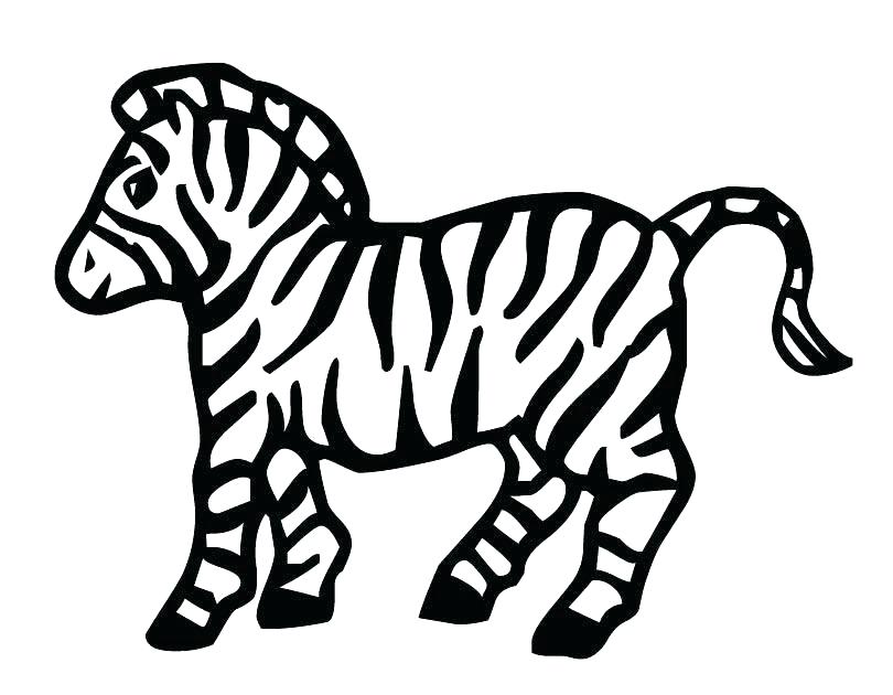 Cute Zebra Coloring Pages Cute Zebra Colouring Pages 810x630 Cute Zebra Coloring Pages Cute Zebra Colouring Pages