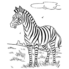 Top 20 Free Printable Zebra Coloring Pages Online 230x230 Top 20 Free Printable Zebra Coloring Pages Online