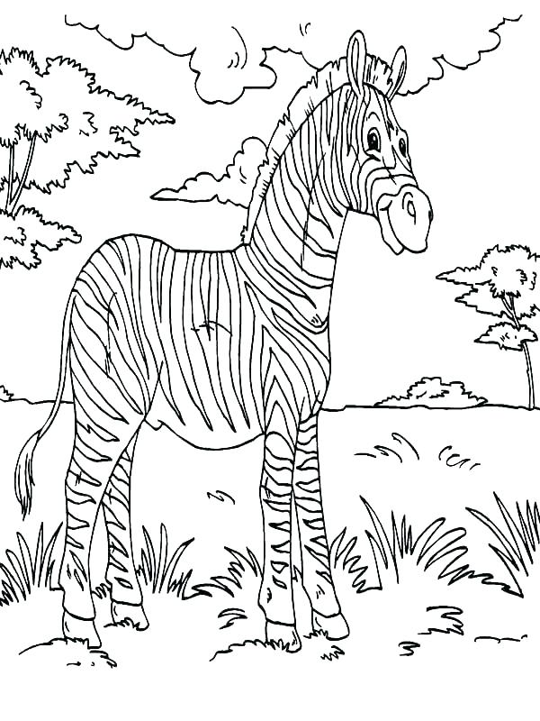 Cute Zebra Coloring Pages Coloring Ideas Pro 600x800 Cute Zebra Coloring Pages Coloring Ideas Pro