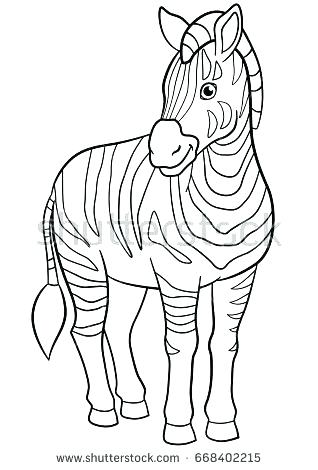 Baby Zebra Coloring Pages Zebra Mother Standing With Its Just Born 318x470 Baby Zebra Coloring Pages Zebra Mother Standing With Its Just Born