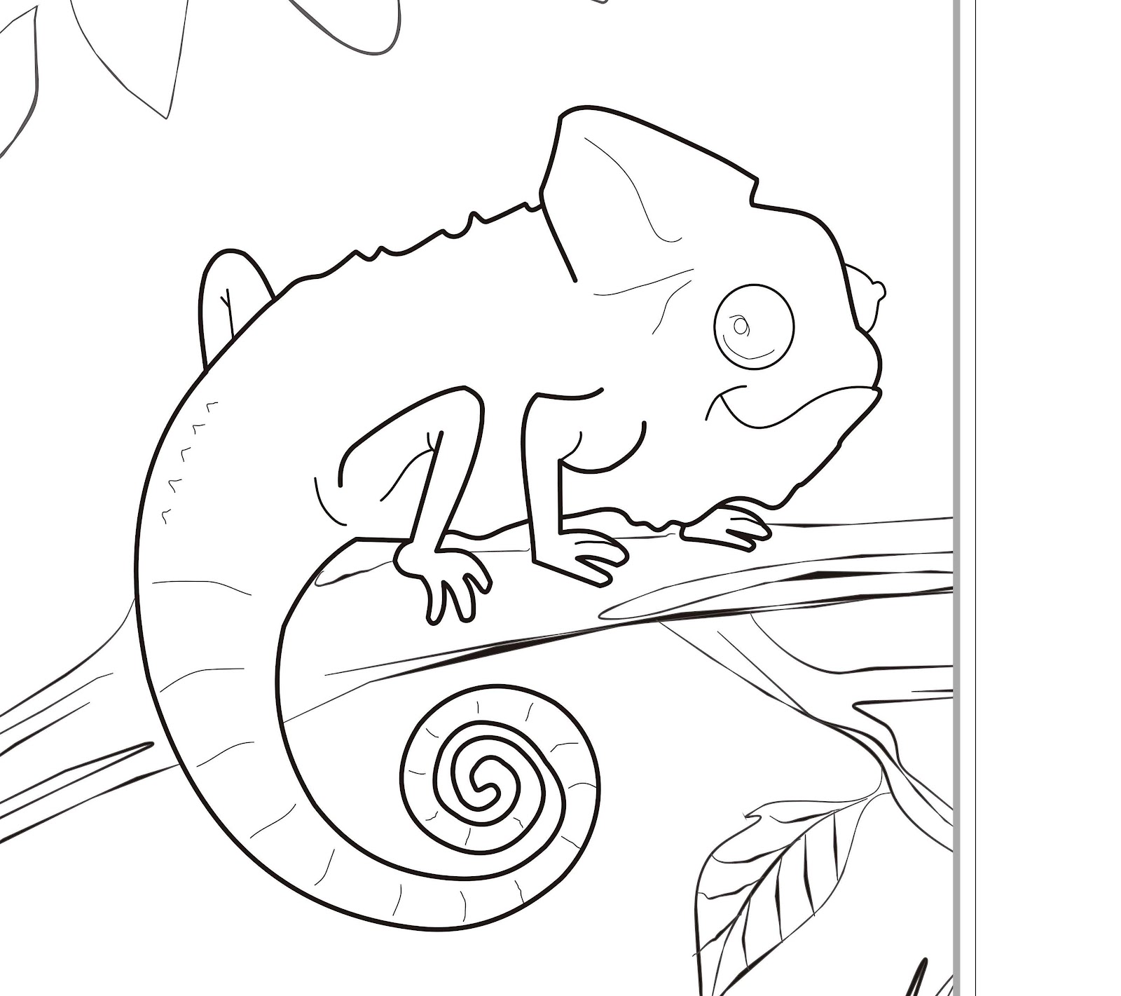 Fresh Cute Zoo Animals Coloring Pages Zoo Animal Coloring Pages 1600x1421 Fresh Cute Zoo Animals Coloring Pages Zoo Animal Coloring Pages