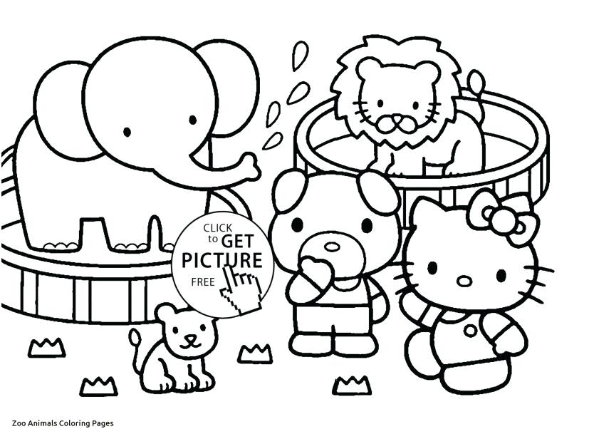 Safari Animals Coloring Pages Cute Zoo Animal Coloring Pages 827x609 Safari Animals Coloring Pages Cute Zoo Animal Coloring Pages