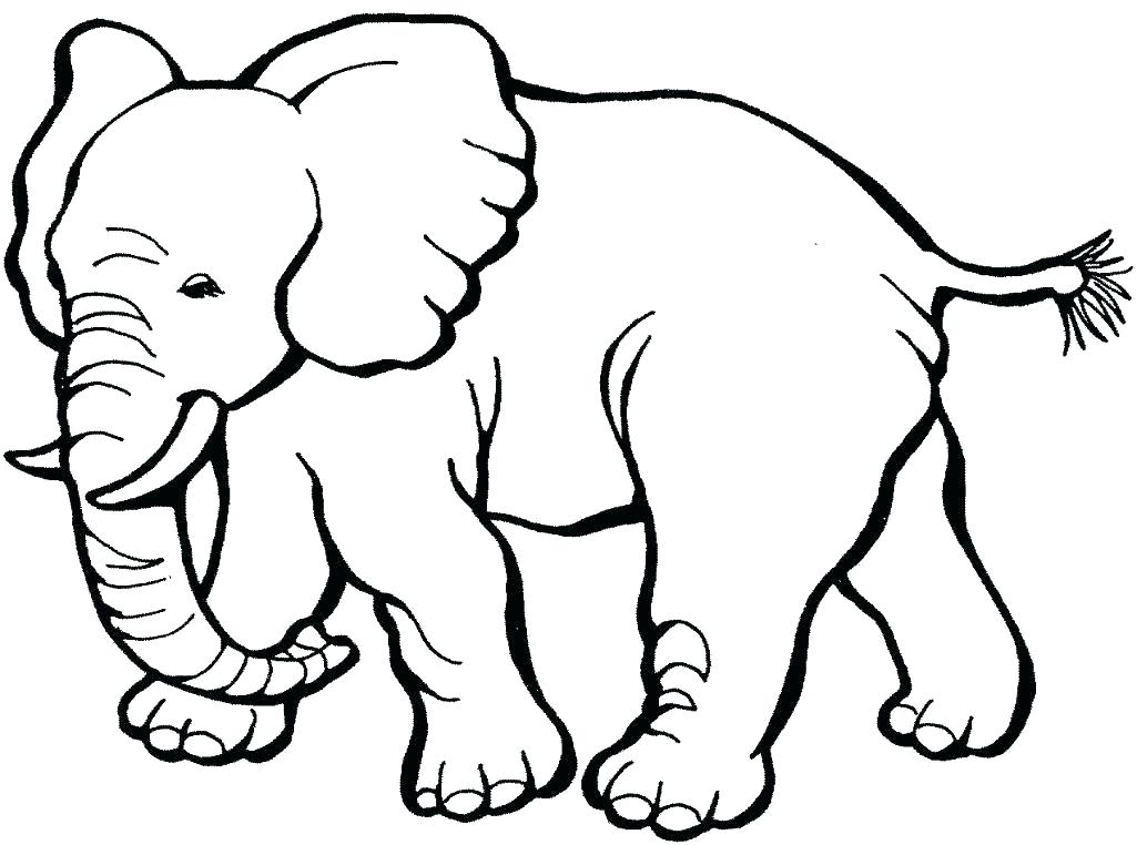 Zoo Animals Coloring Page Cute Animal Print Animal Print Coloring 1025x762 Zoo Animals Coloring Page Cute Animal Print Animal Print Coloring