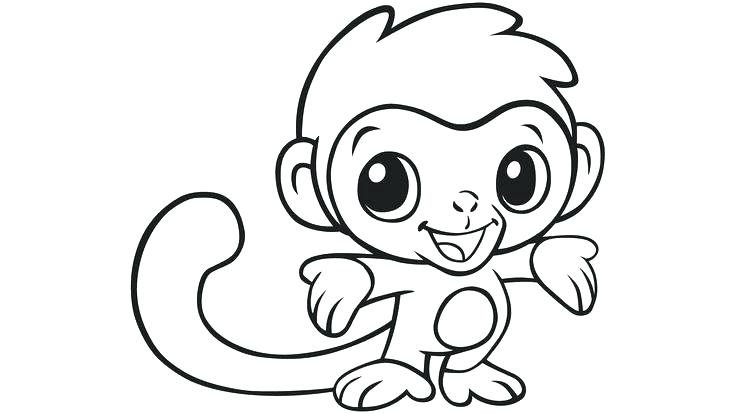 Animals Coloring Pages 736x414 Animals Coloring Pages