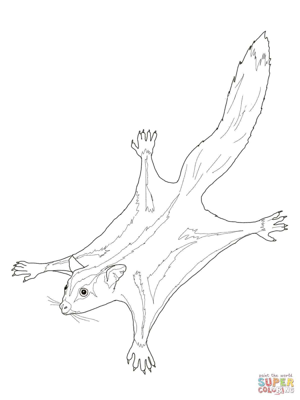 Sugar Glider Coloring Pages Collection Coloring For Kids 2018 1200x1600 Sugar Glider Coloring Pages Collection Coloring For Kids 2018