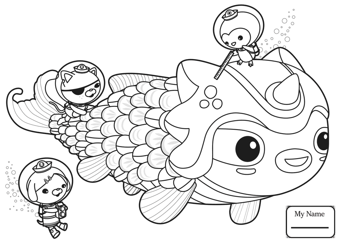 Cuttlefish Coloring Pages 1112x794 Cuttlefish Coloring Pages
