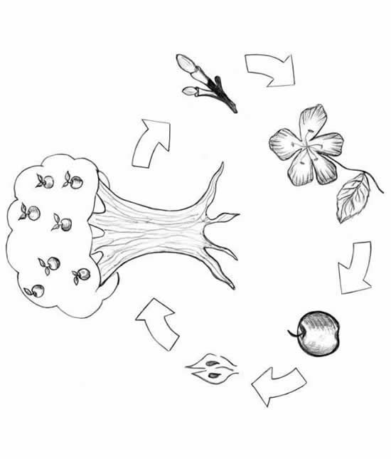 Cycling Coloring Pages