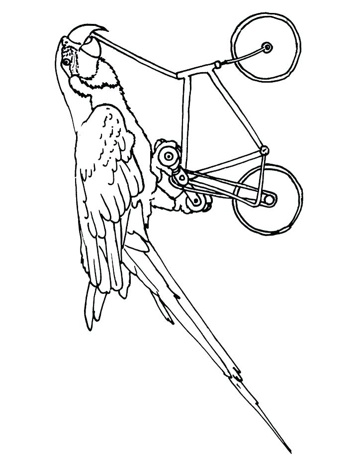 Macaw Coloring Pages Macaw Cycling Coloring Page Blue Macaw 720x936 Macaw Coloring Pages Macaw Cycling Coloring Page Blue Macaw