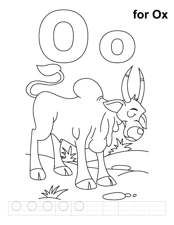 Letter O Coloring Pages O Coloring Page Alphabet Letter Coloring O 612x792 Letter O Coloring Pages O Coloring Page Alphabet Letter Coloring O