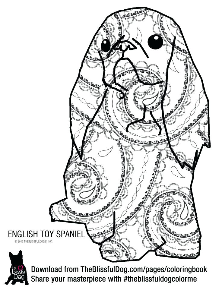 736x952 Marvelous Leonardo Da Vinci Coloring Pages Chat Leonardo Da Vinci