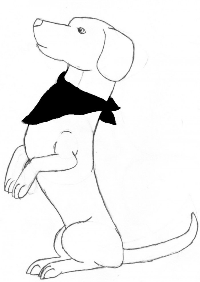 700x989 Dachshund Dog Coloring Pages