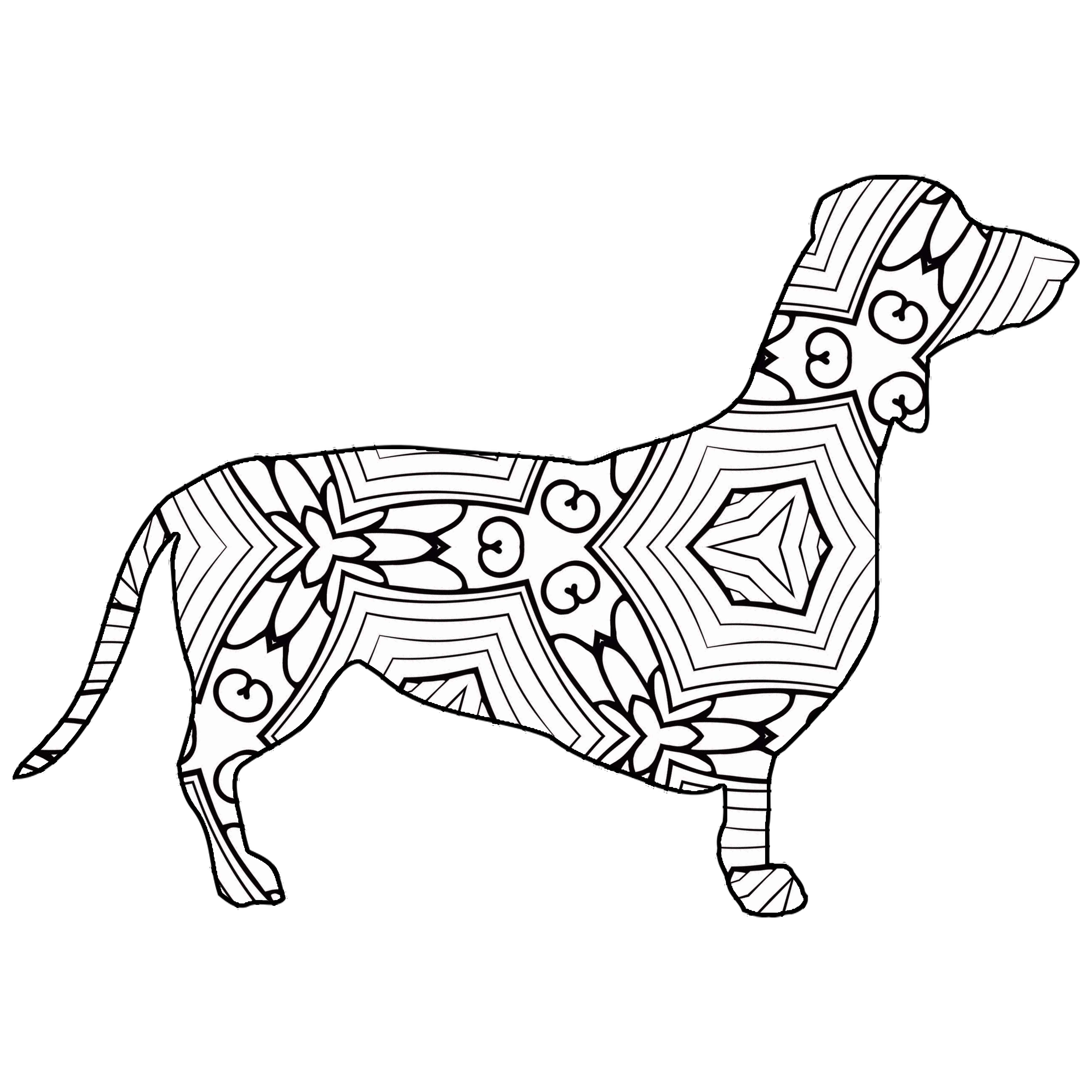 4500x4500 Siberian Husky Dog Coloring Page Dachshund Pages