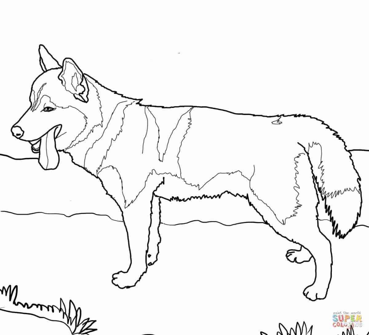 Dachshund Dog Coloring Page Free Printable Pages At Olegratiy 1200x1090 Dachshund Dog Coloring Page Free Printable Pages At Olegratiy