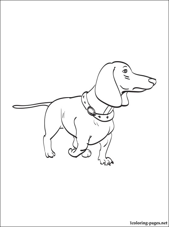 Dachshund Coloring Pages Printable at GetColorings.com | Free printable ...