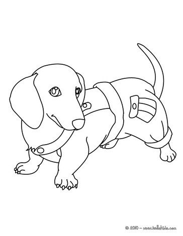 Dachshund Coloring Pages Printable at GetColorings.com | Free printable ...