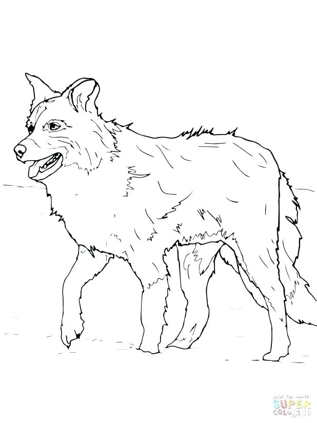 Collie Coloring Pages 618x824 Collie Coloring Pages