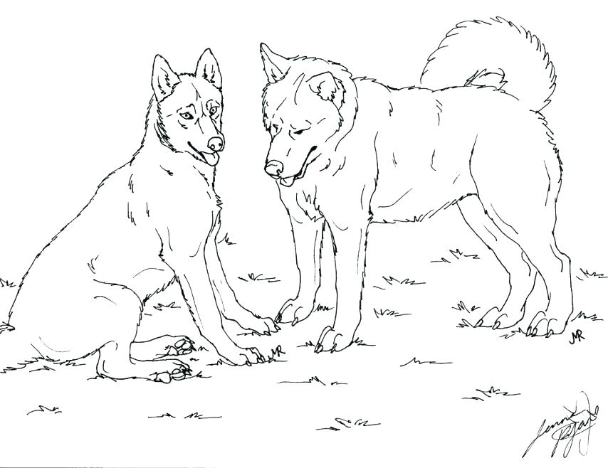 Husky Dog Coloring Pages Dachshund Coloring Page Puppy Coloring 854x658 Husky Dog Coloring Pages Dachshund Coloring Page Puppy Coloring