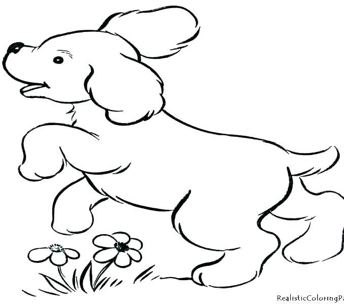 Dachshund Puppy Coloring Pages at GetColorings.com | Free printable ...