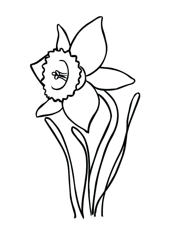 600x776 Daffodil Coloring Page Orange Coloring Page Coloring Pages Kids