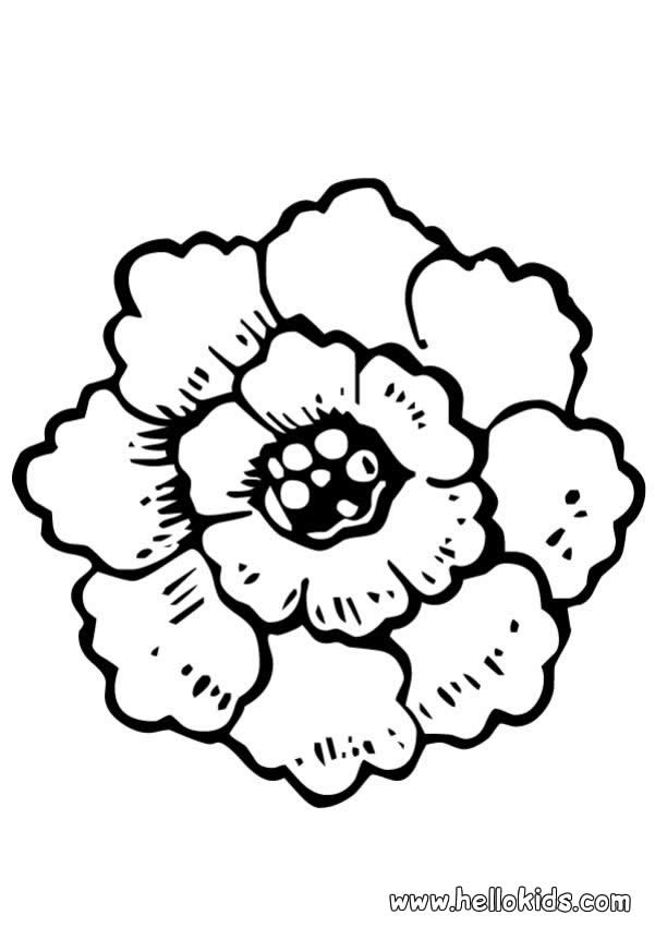 601x850 Daffodil Coloring Pages