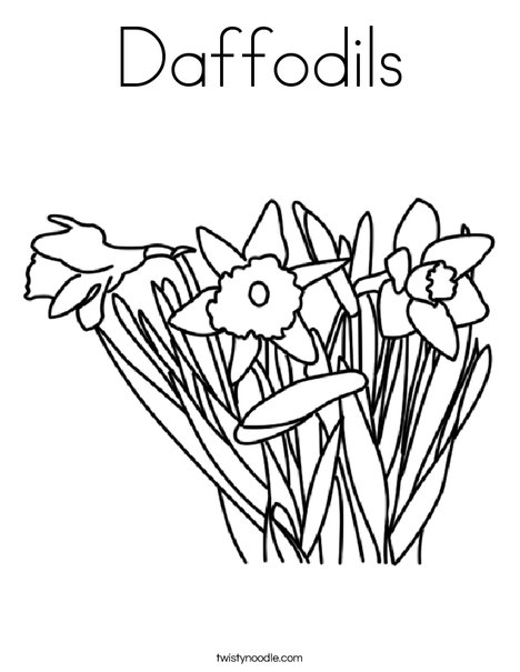 468x605 Daffodils Coloring Page