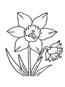 216x288 Flower Coloring Pages Daffodil Coloring Page Flower, March