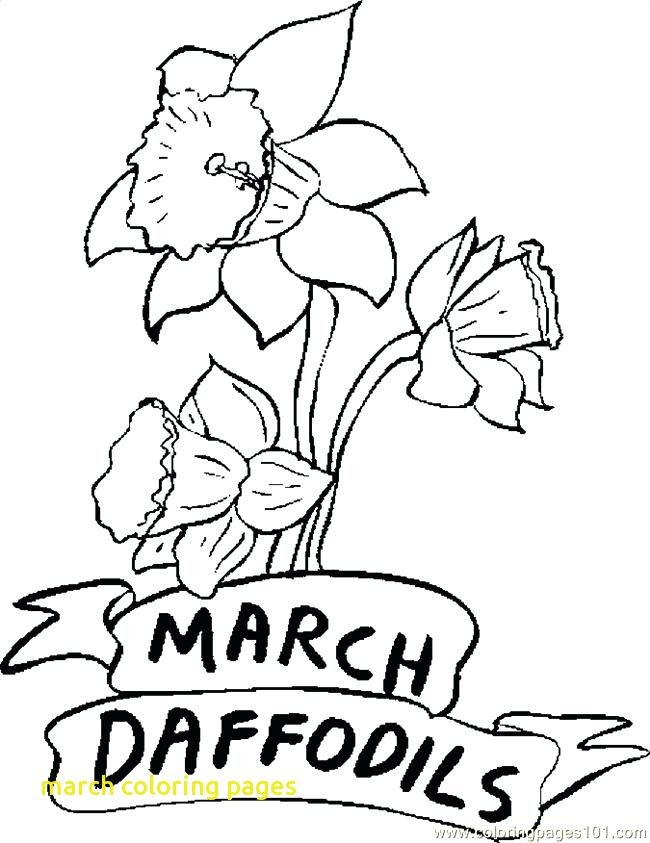 650x843 March Coloring Pages With March Coloring Pages March Daffodils