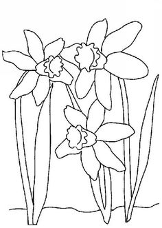 236x331 Daffodil Coloring Pages 1 231x300 Flower Coloring Pages Spring