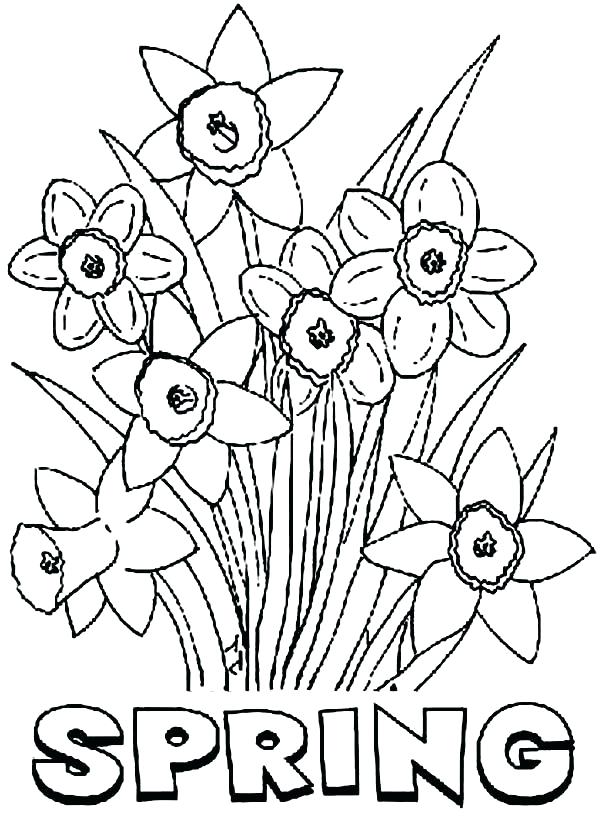 Daffodil Coloring Page at GetColorings.com | Free printable colorings ...