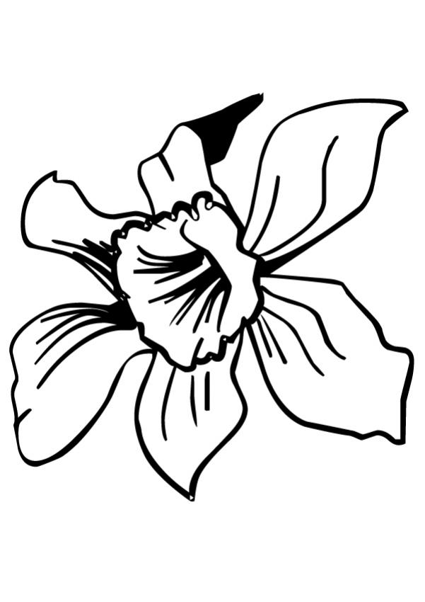 601x850 Flower Coloring Pages