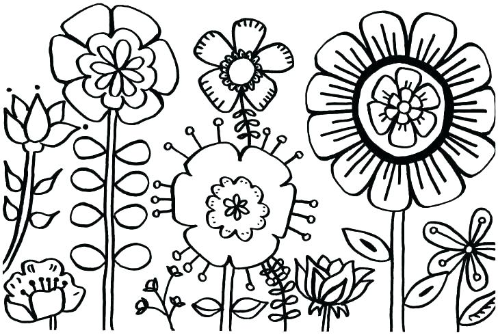 728x490 Best Spring Flowers Coloring Pages New Daffodil Flower Page Free