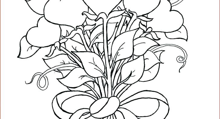 728x393 Butterfly And Daffodil Flower Coloring Page
