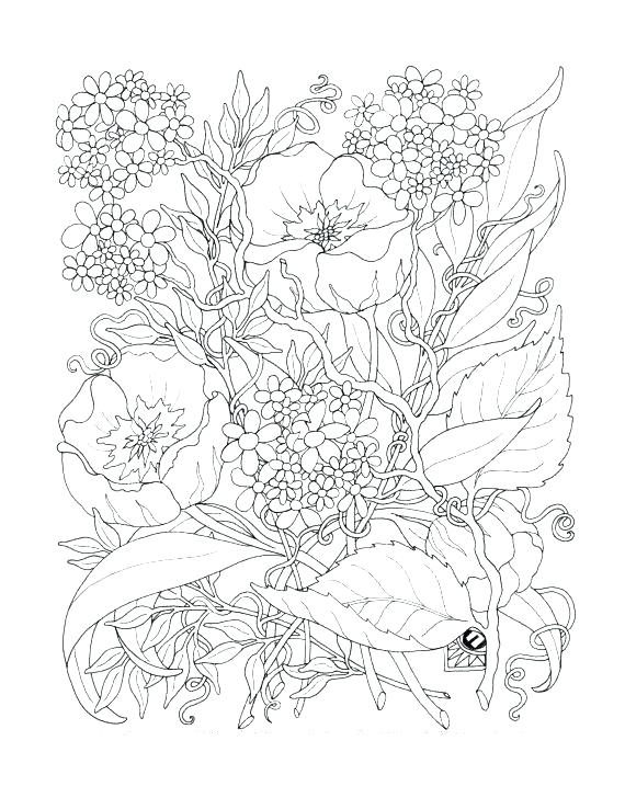 570x738 Coloring Pages For Adult Intricate Flower Coloring Pages Dahlia