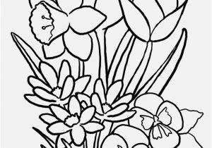 300x210 Flowers Coloring Pages Footage 1 Dahlias To Print Amp Color