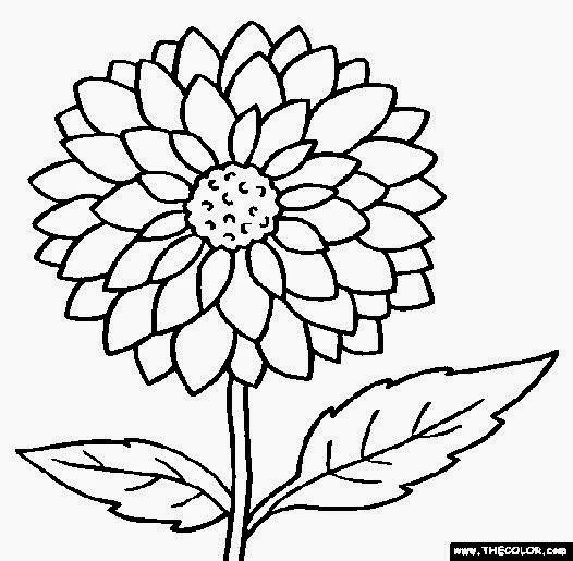 526x515 Pictures For Coloring Free Coloring Pictures