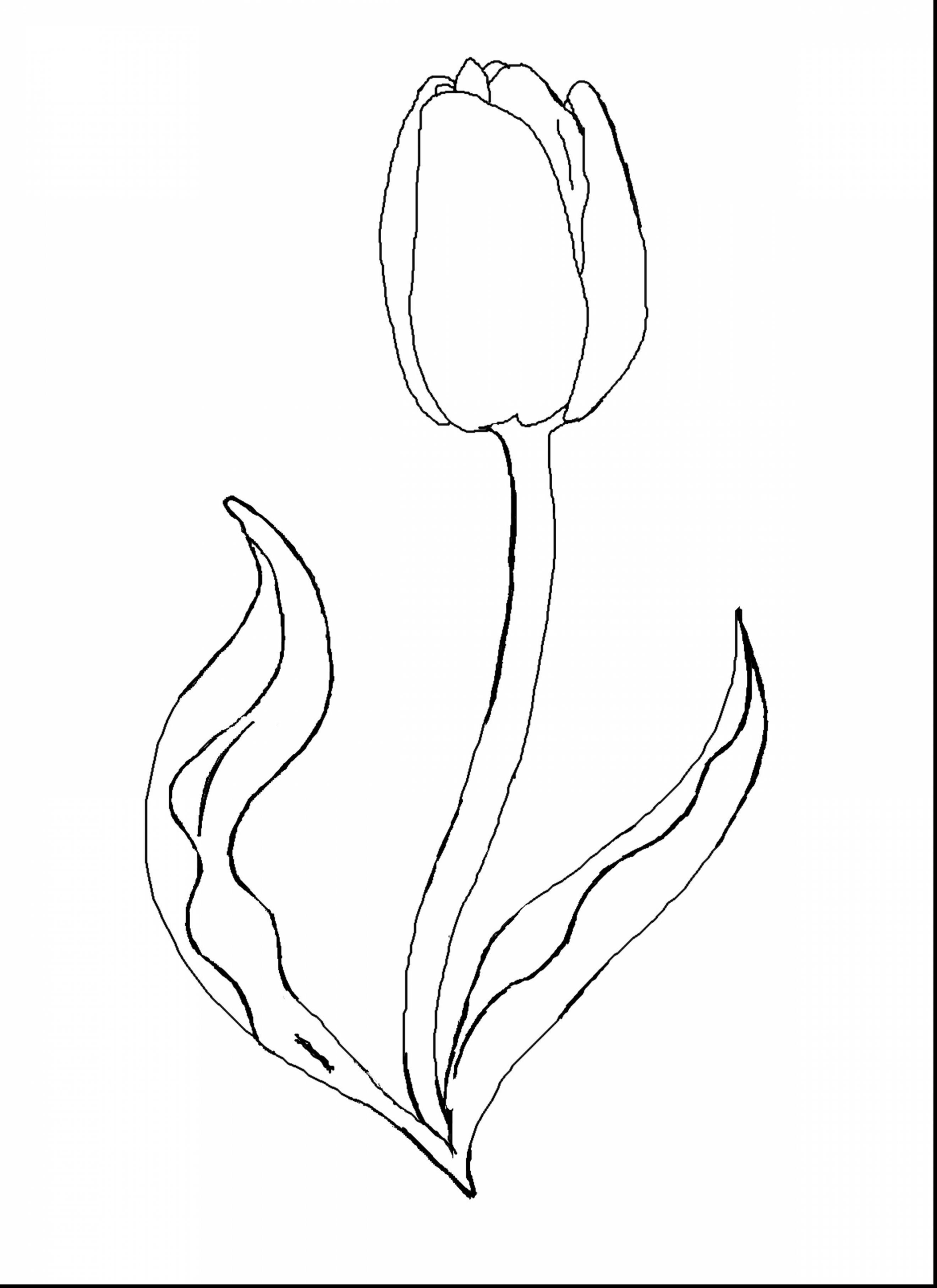 2640x3630 Beautiful Flower Coloring Pages For Kids Beautiful Dahlia Flower