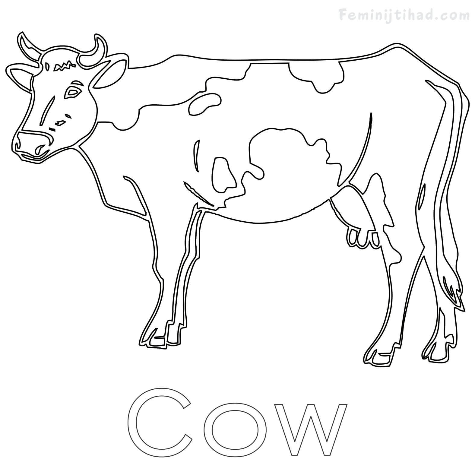 Dairy Cow Coloring Pages at GetColorings.com | Free printable colorings ...