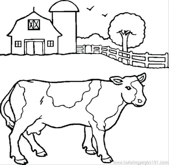 650x635 Cows Coloring Pages Cow Coloring Page Cow Coloring Pages Cows