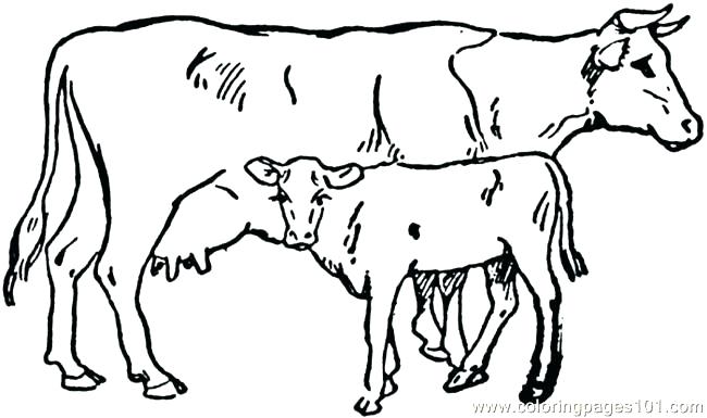 Dairy Cow Coloring Pages at GetColorings.com | Free printable colorings ...