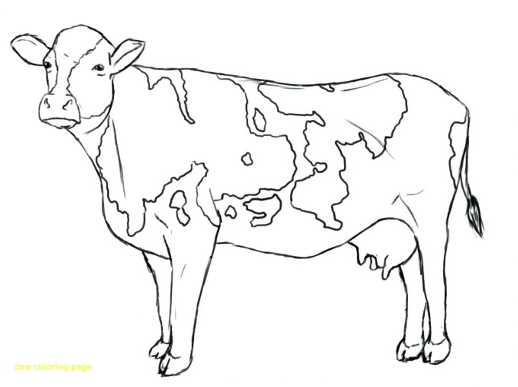 1043x781 Rare Coloring Pages Of Cows Free Printable Flowers In A Vase Cow