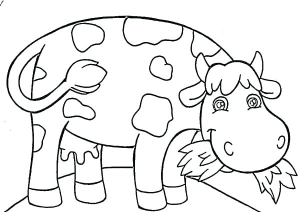 600x424 Cow Color Page Dairy Cow Eating Grass Coloring Pages Color
