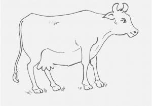 300x210 Cow Coloring Page Image Secrets Dairy Cow Coloring Pages Page