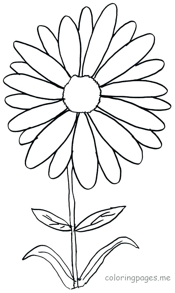 Daisy Coloring Pages Coloring Pages With Flowers Daisy Flower 613x1024 Daisy Coloring Pages Coloring Pages With Flowers Daisy Flower